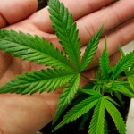 How Legalized Marijuana Is Making BILLIONS For “Pot Stock” Investors