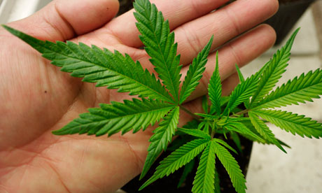 How Legalized Marijuana Is Making BILLIONS For “Pot Stock” Investors