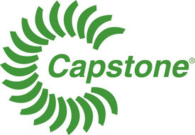 Capstone Turbine: High Risk, High Reward
