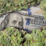 Everything Cannabis Investors Need to Know Ahead of the 420 'Holiday'